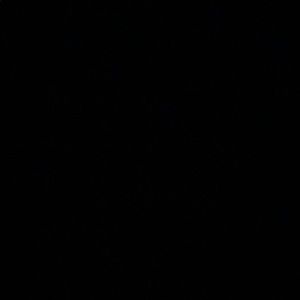 Meet your Posher, Neo